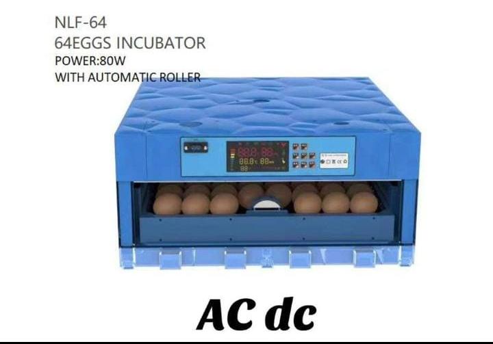 64 EGGS AC/DC INCUBATOR